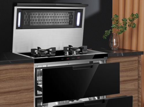 集成灶行業(yè)處于穩(wěn)定增長趨勢 未來將進一步走進用戶家庭