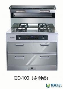 供應(yīng)濟(jì)南秦帝集成環(huán)保灶QD-100(專利銀)_家用電器_世界工廠網(wǎng)中國產(chǎn)品信息庫