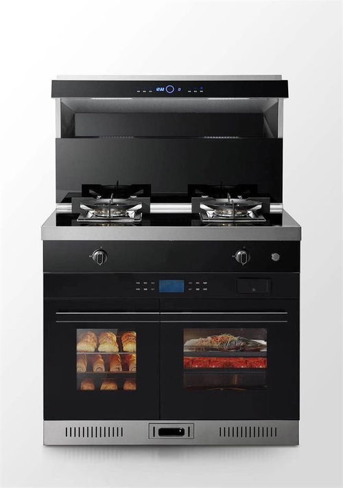 別再糾結(jié)了 2023年集成灶十大品牌年終盤(pán)點(diǎn),看看哪款最適合您